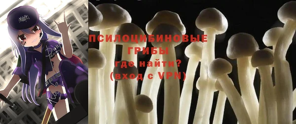 тгк Наволоки